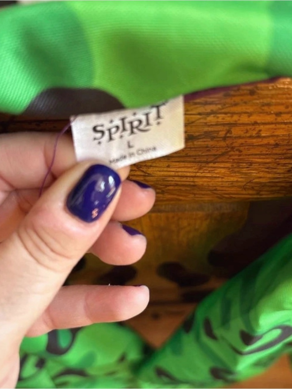 Spirit the Riddler costume - Picture 3 of 14